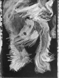 intimate image of a Chinese Crested dog, showing spotted hairless chest and wispy fur on feet and face. High contrast acrylic sketch by Elizabeth Lisa Petrulis