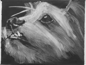 Intimate dog portrait, high contrast acrylic sketch by Elizabeth Petrulis