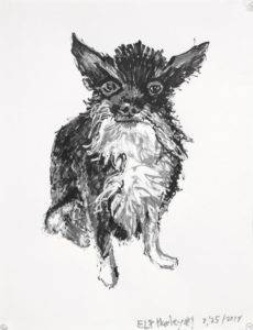 Felt tip pen drawing of a scruffy bearded chihuahua dog. Seated and sporting tuxedo markings. Artist Elizabeth Lisa Petrulis.
