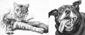 Gallery cover picture for "Limbs 2 and Tongues" showing Akimbo (a cat looking up from grooming with legs pointing all directions),and Doug (a dog ears up and tongue hanging low to the sides). Black and white acrylic portraits by Elizabeth Lisa Petrulis.