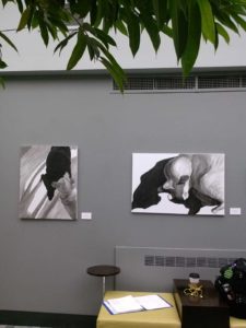black and white paintings of dogs and cat by Elizabeth Lisa Petrulis installed on a grey wall