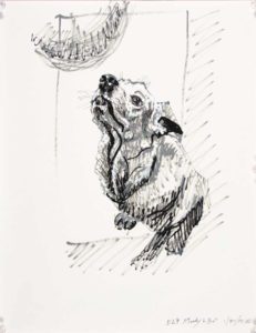 black and white drawing of seated dog looking up toward an orb